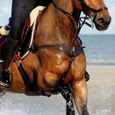 Lumiere 'Vida' Bridge Breastplate